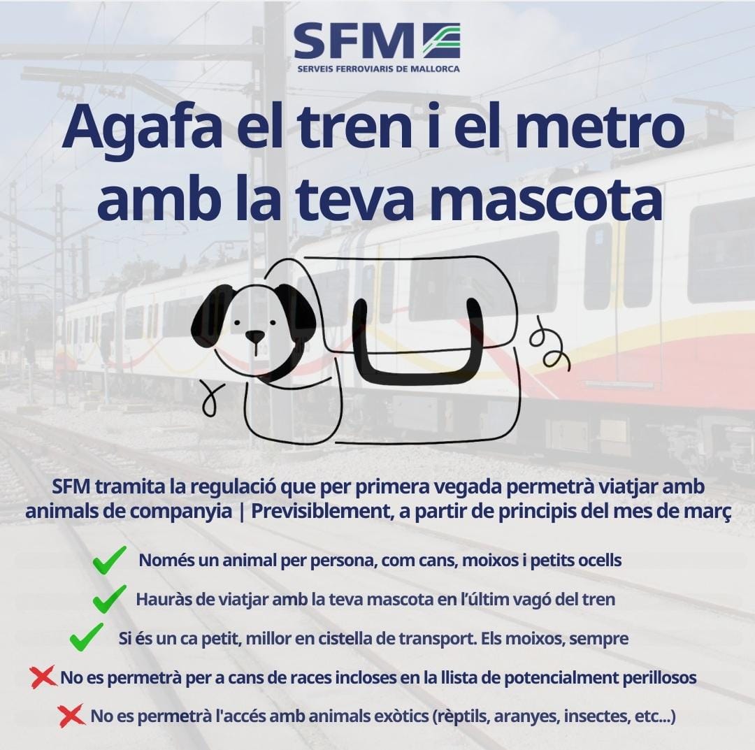 Animals de companyia al tren